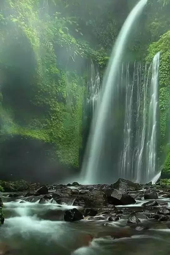 拯救树屋中的女孩