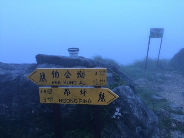 高质量知识星球平台-如果条件允许,你会选择提前退休吗?