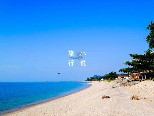 江西彭泽:春节将近 “花卉经济”产销旺