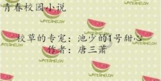 万词王