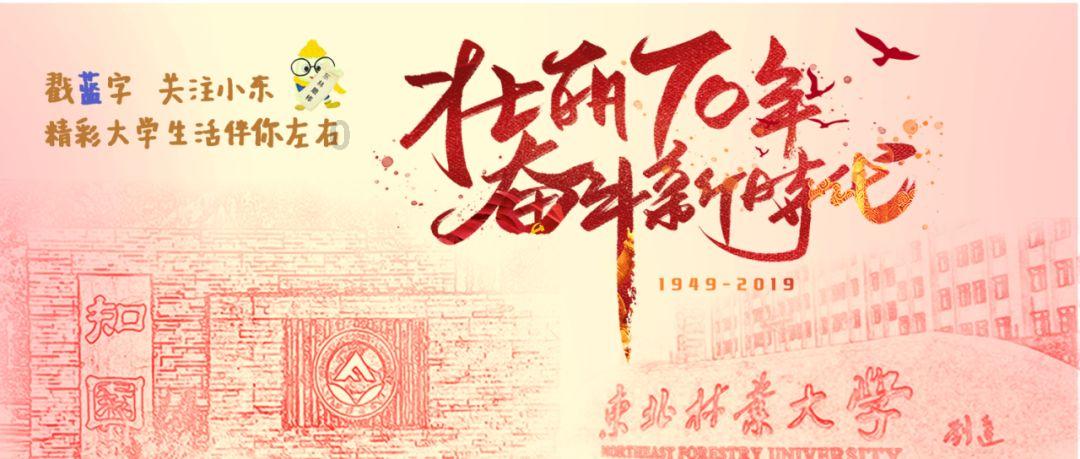 逃离金刚鹦鹉森林