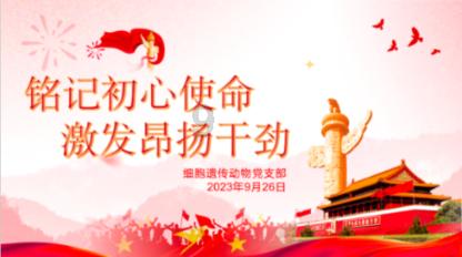 超黄金街霸
